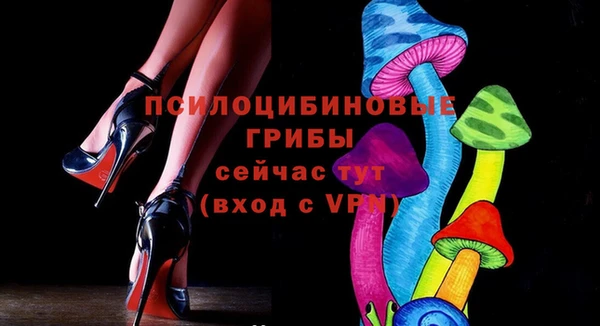МДПВ Абдулино