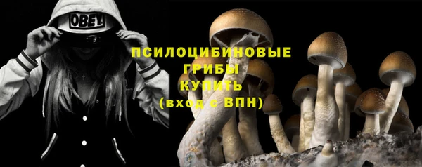 мет Алексин