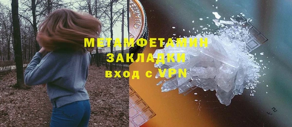 мет Алексин