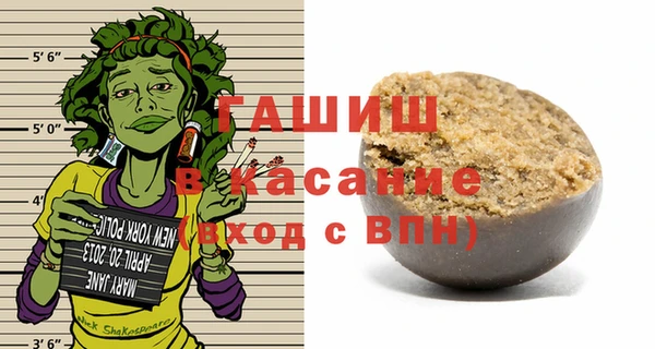 мет Алексин
