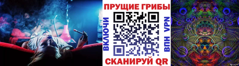 Псилоцибиновые грибы Psilocybe  Ржев 